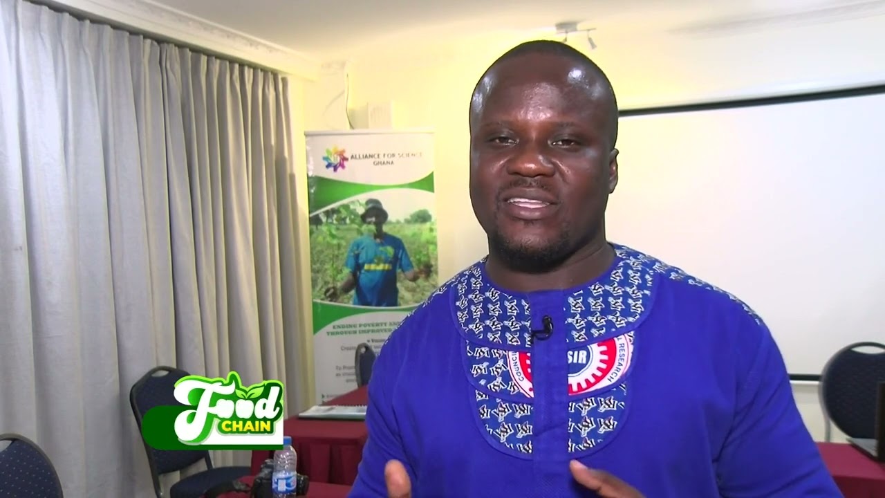 Genetically Modified Organisms - Food Chain on JoyNews