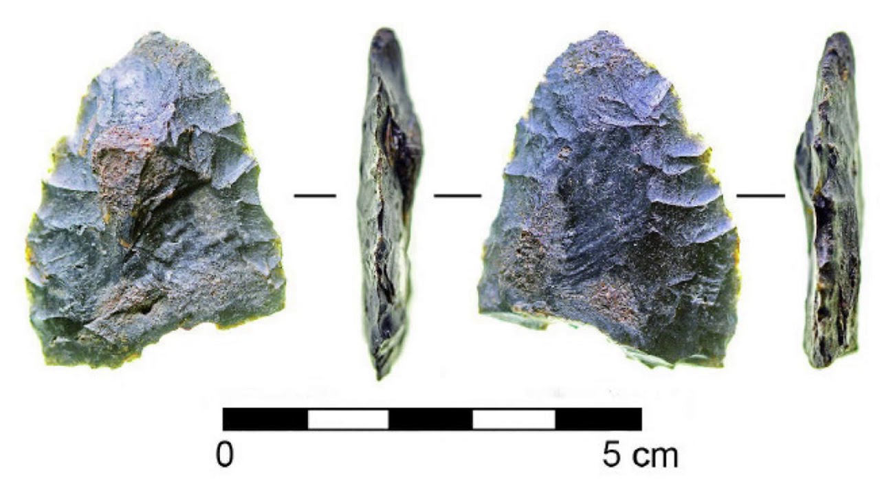 Page-Ladson Archeological Site