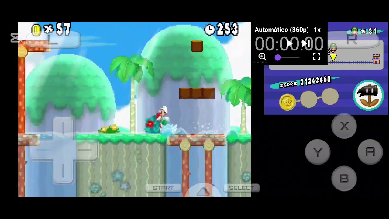 Newer super mario bros ds parte 8