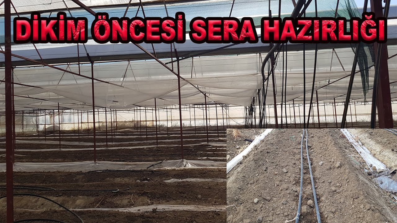 FİDE DİKİMİ ÖNCESİ TOPRAK VE GENEL SERA HAZIRLIĞI