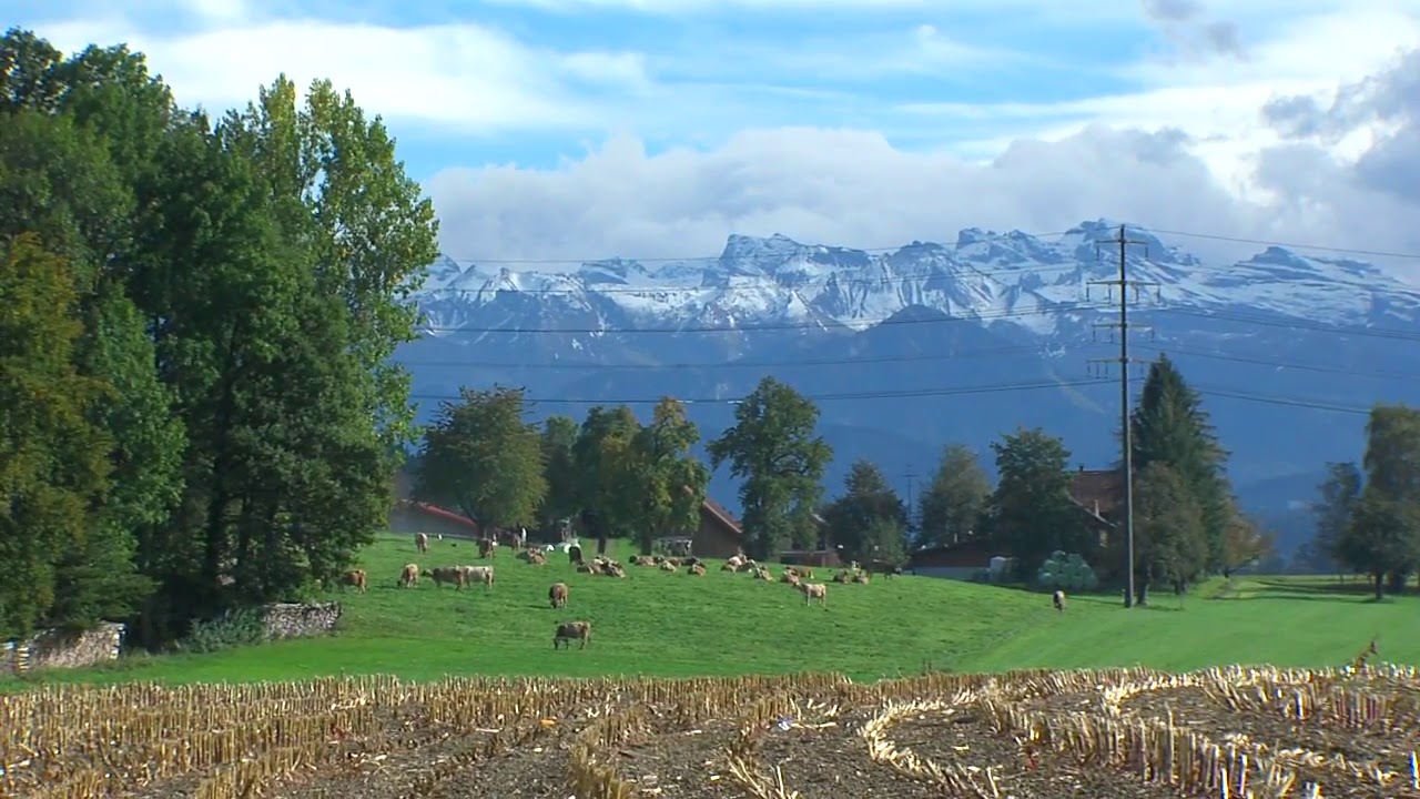 Gemeinde Hochdorf (Video 2015)