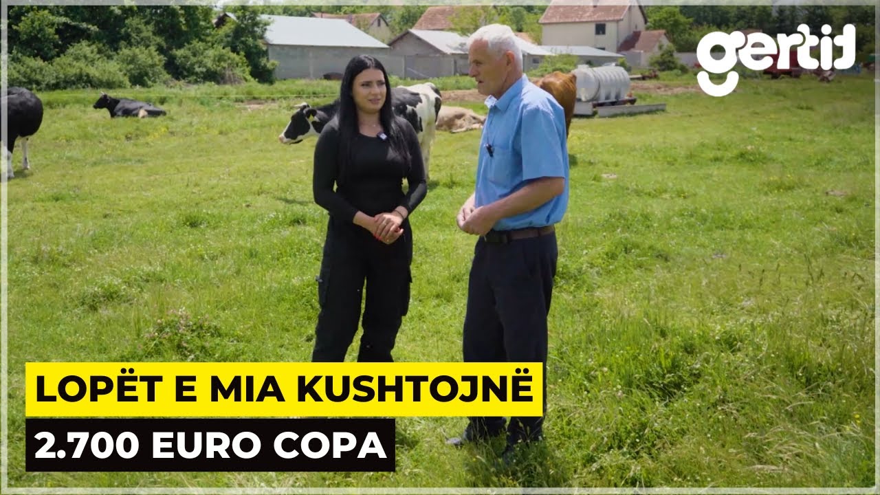 Punëtorit i besoj veç plehun e lopëve me hek - Kur e don punën, paret vijnë vetë | Histori të Jetes