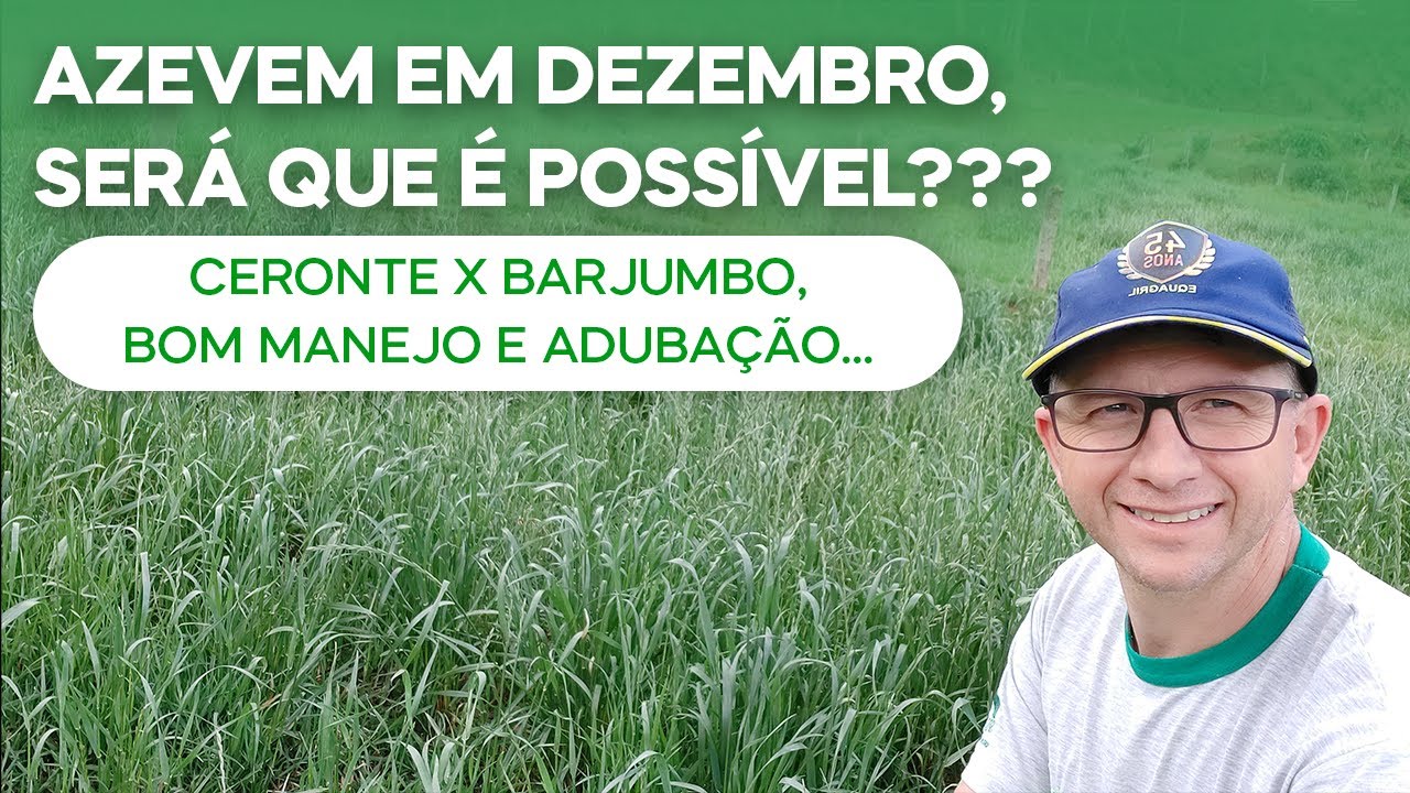 Azevem em Dezembro, será que é possível??? Ceronte X BarJumbo, bom manejo e adubação.... (v.135)