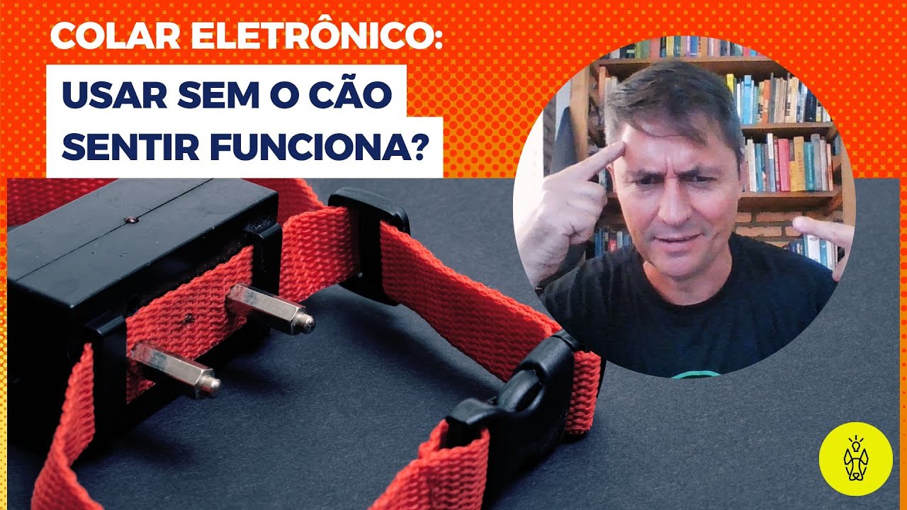 Colar eletrônico: usar sem o cão sentir funciona?