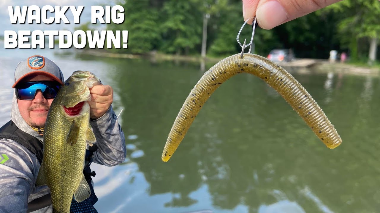 The Bass at Mosquito Creek were MUNCHING this lure! (BKFT #4)