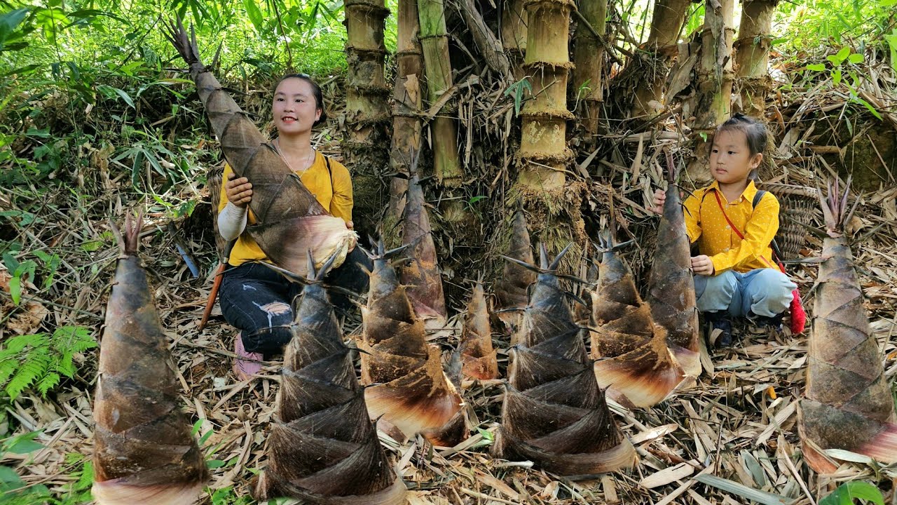 FULL VIDEO: 3 Days with mom harvesting giant bamboo shoots, catching fish to sell at the market