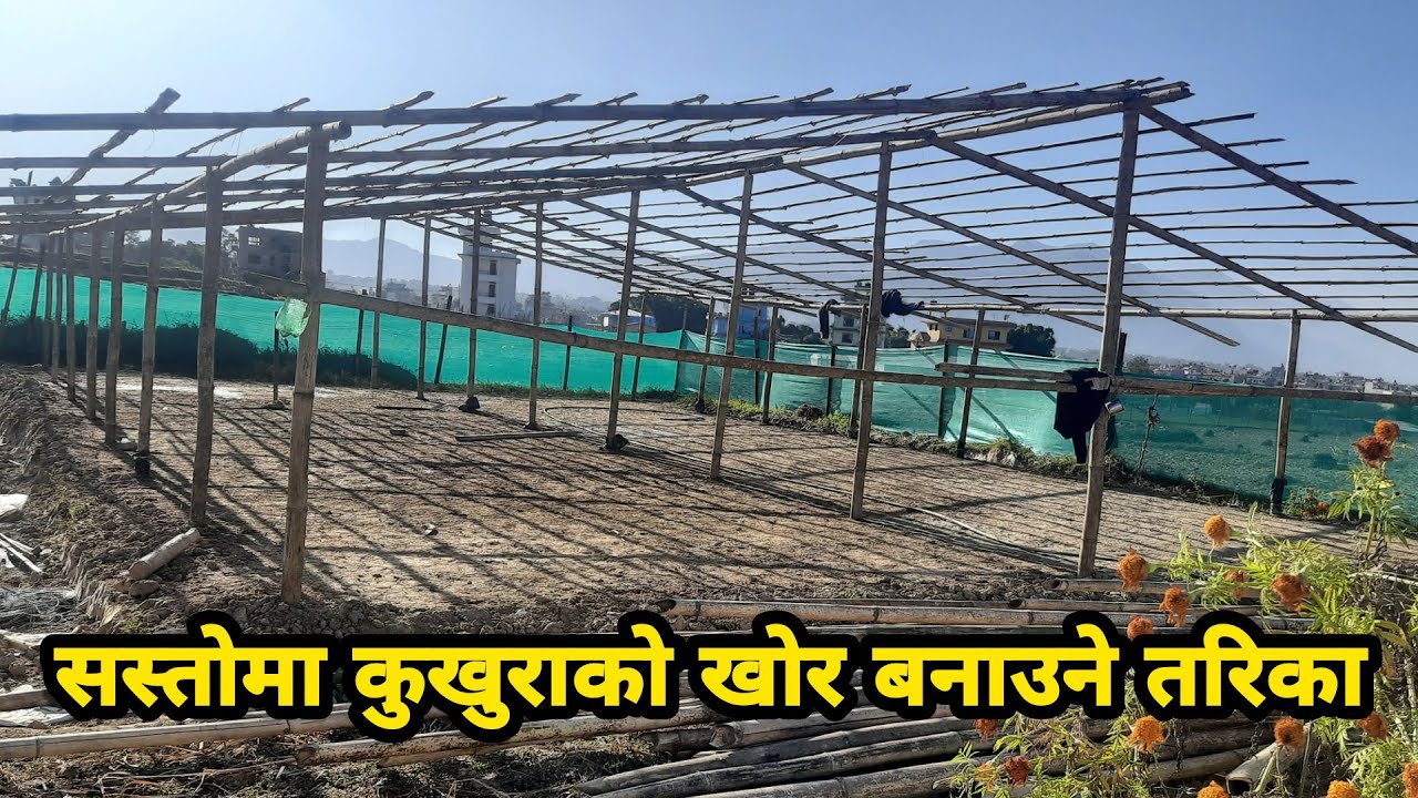 कसरी बनाउने सबैभन्दा सस्तोमा कुखुराको खोर?  सबै कुखुरा पालन गर्ने साथिहरुको लागि
