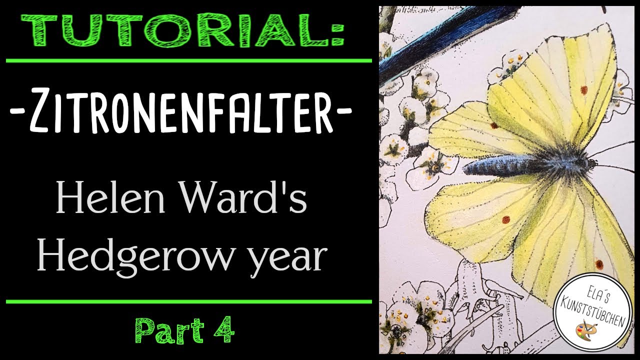 Tutorial: Zitronenfalter ausmalen (Part 4: Helen Ward's Hedgerow Year) in Echtzeit!