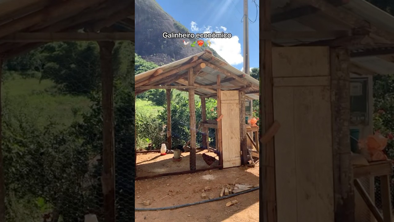 CONSTRUINDO UM GALINHEIRO F&Aacute;CIL E ECON&Ocirc;MICO 🐓🌾🍃 #galinheiro #galinha #vidanaro&ccedil;a #interior
