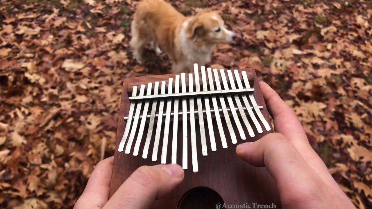 All The Small Things by blink-182 on a Kalimba