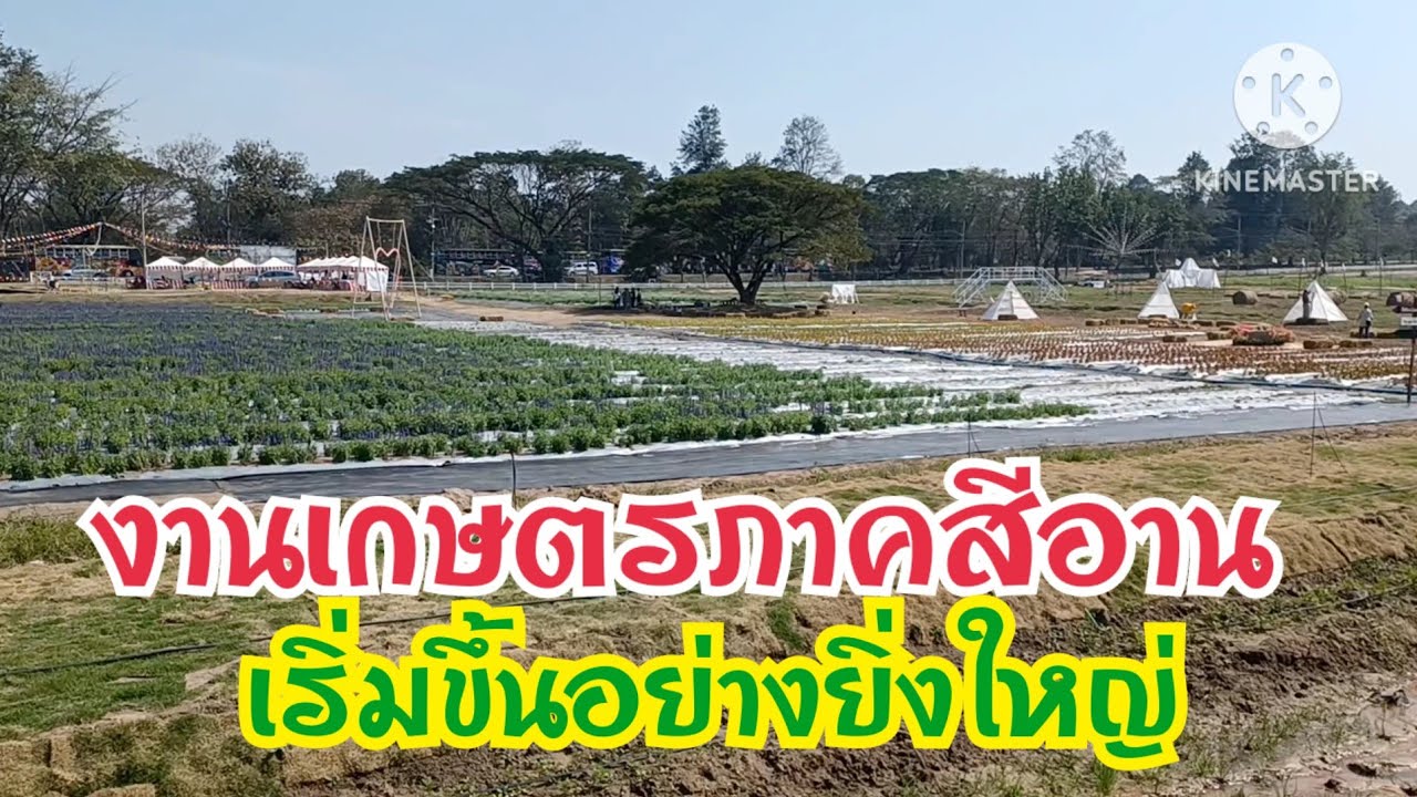 งานเกษตรภาคอีสาน ขอนแก่น เริ่มขึ้นแล้ว ยิ่งใหญ่กว่าเดิม