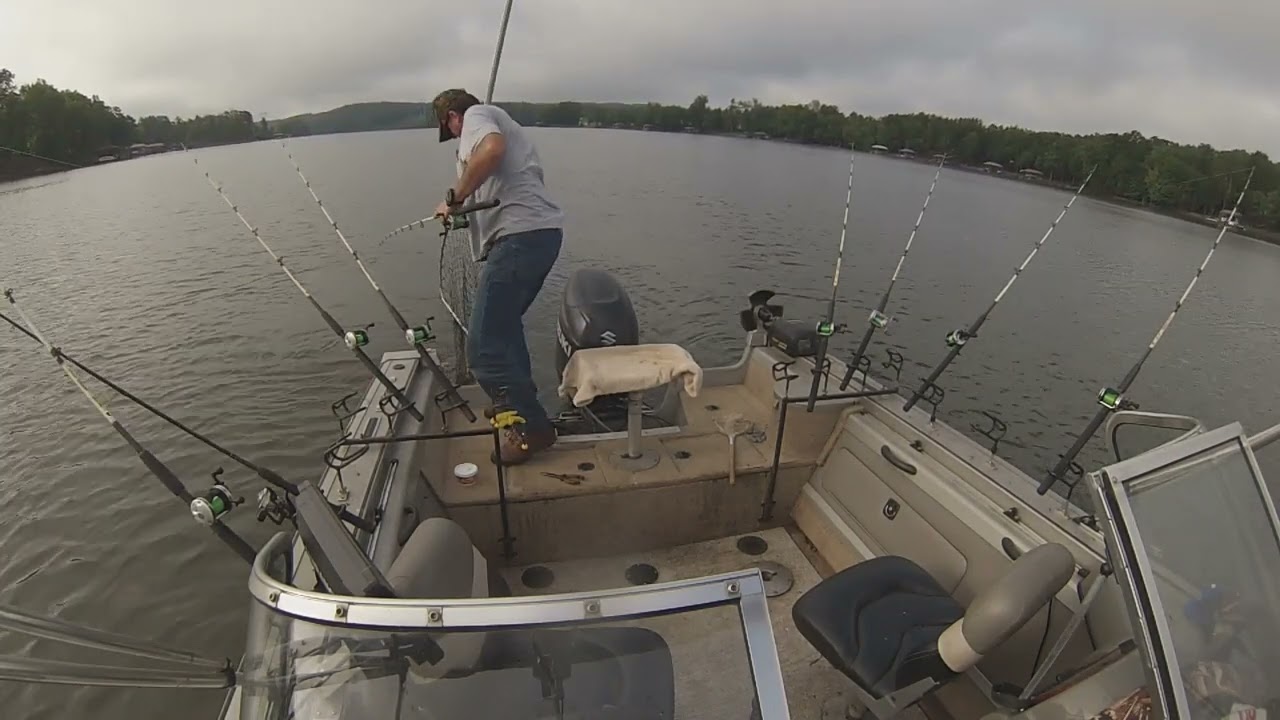 wylie 7 25 23 46 lb blue