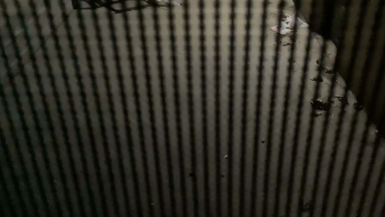 30 sec of reverb  from a K5lla