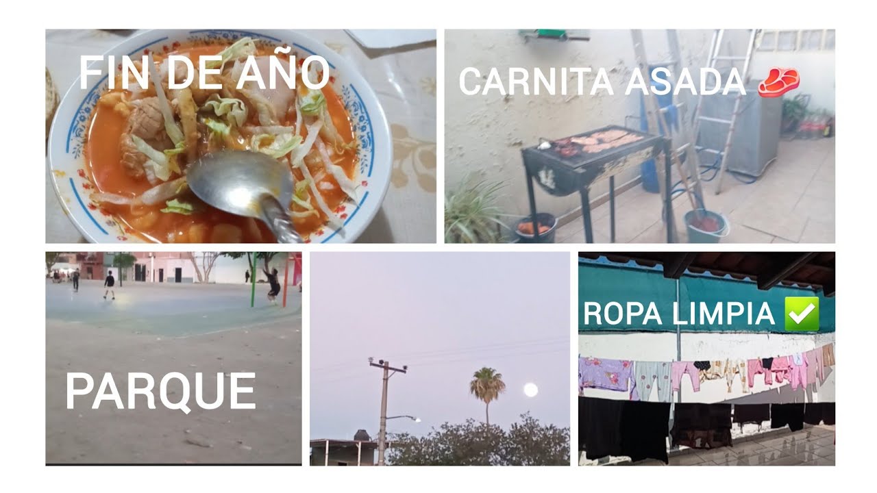 Fin de año ✨️🎆 haciendo carnita asada🥩 vamos alparque 👩‍👧‍👦 blogs de varios días ✅️