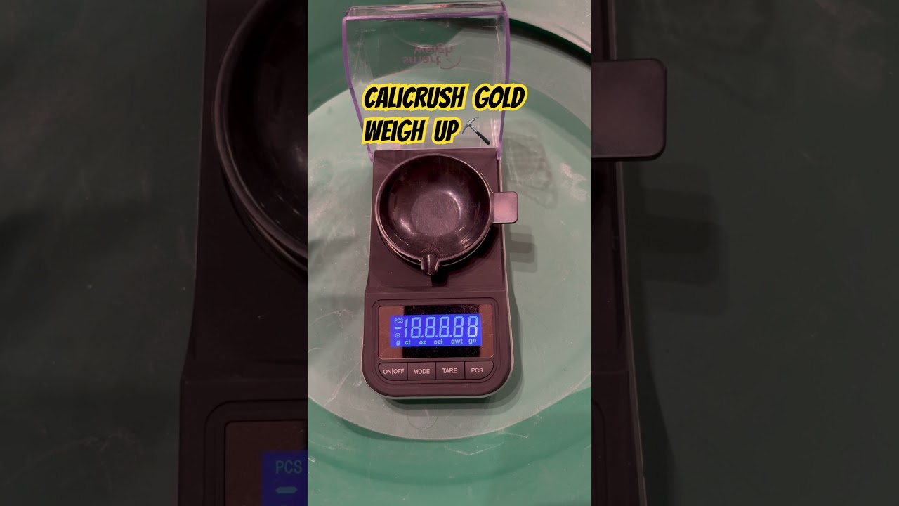 Vendetta Prospecting Calicrush Gold Paydirt ⛏️ #goldnugget #prospecting #goldpanning