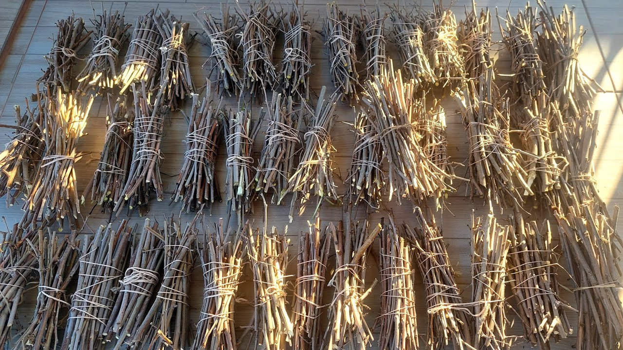 Odun Demetleri, Kışa Hazırlık, Soba , Mangal , Kamp Ateşi