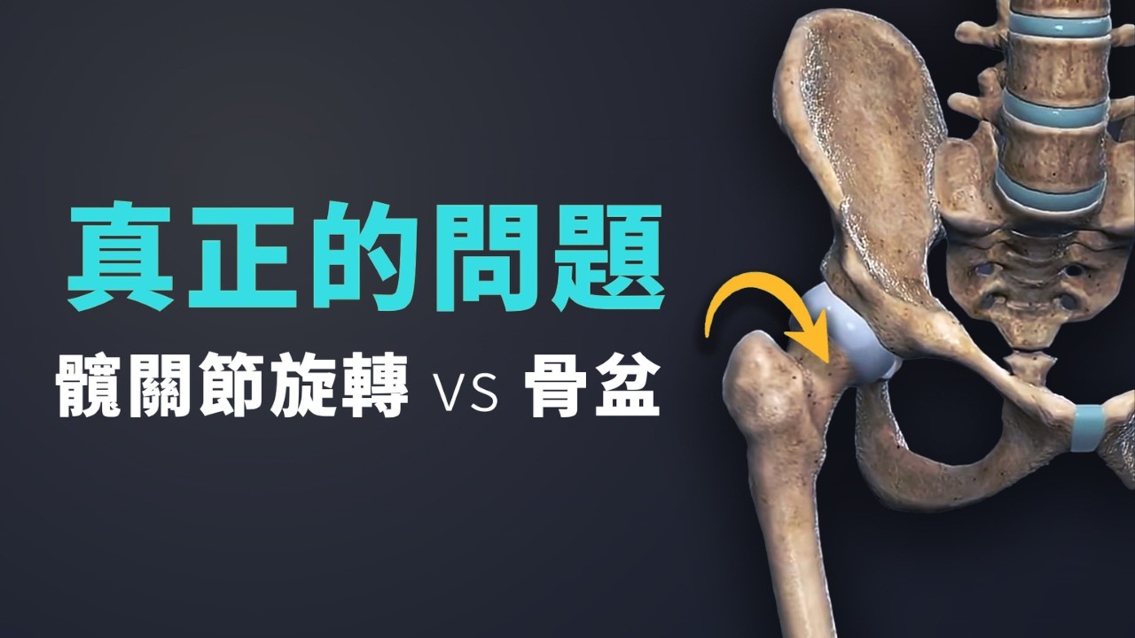 別再只會拉筋了：3 個動作真正改善髖關節旋轉（不是拉拉就好）