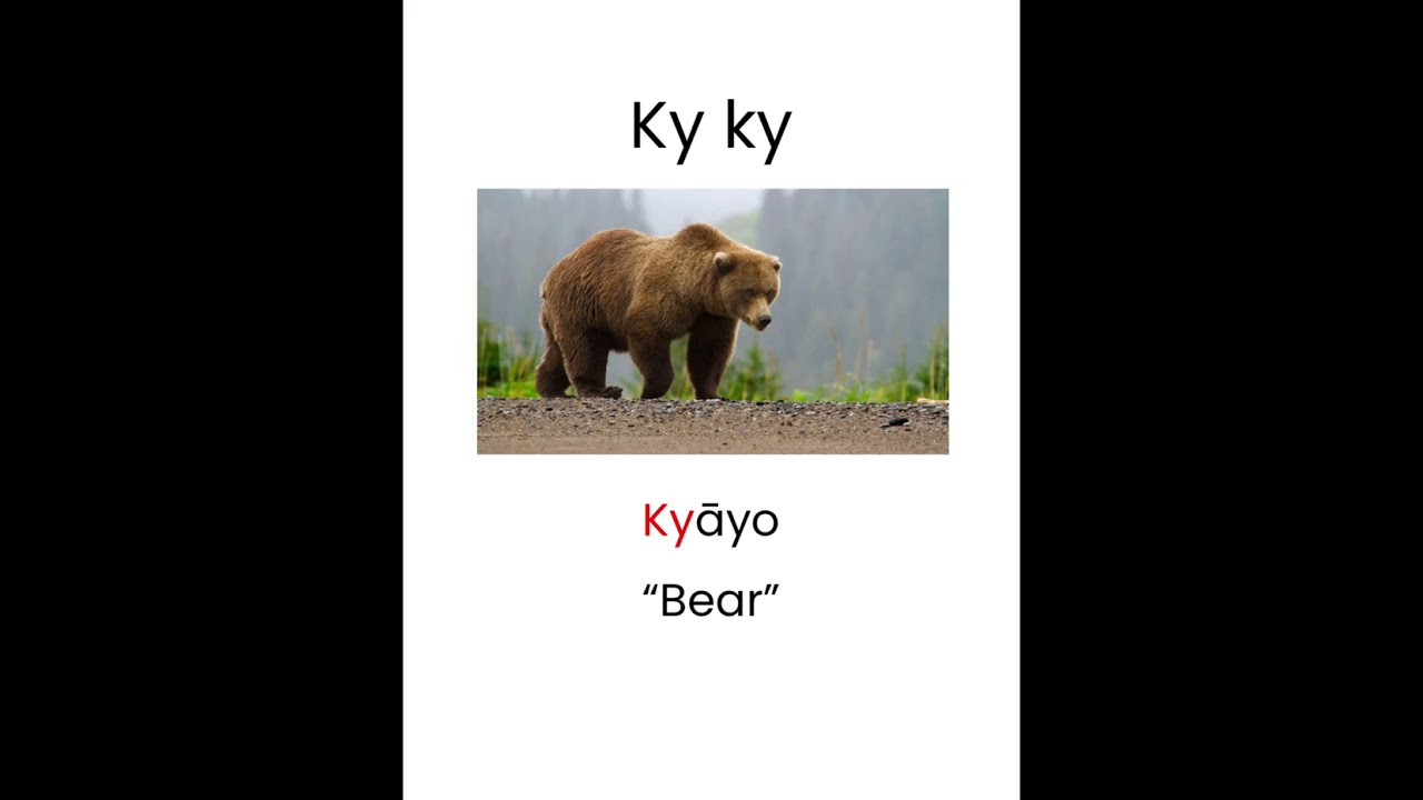 Nītsiʔpowahsini nītsīsinakssini (Blackfoot Alphabet): Pronunciation & Spelling