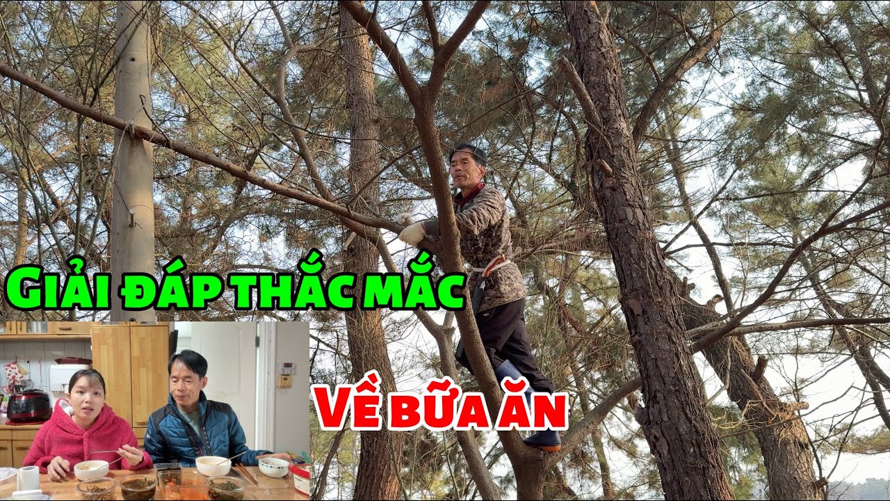 [212] giải đáp thắc mắc về bữa cơm ở Hàn Quốc 