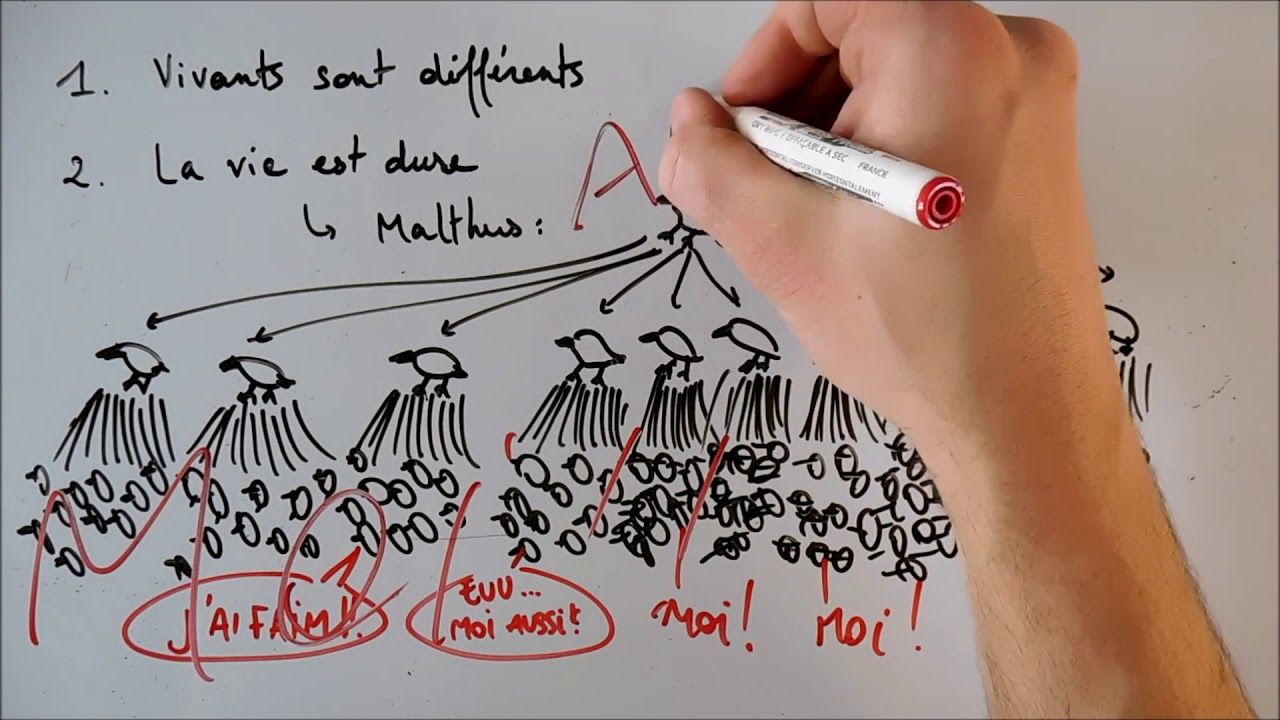 Sélection naturelle