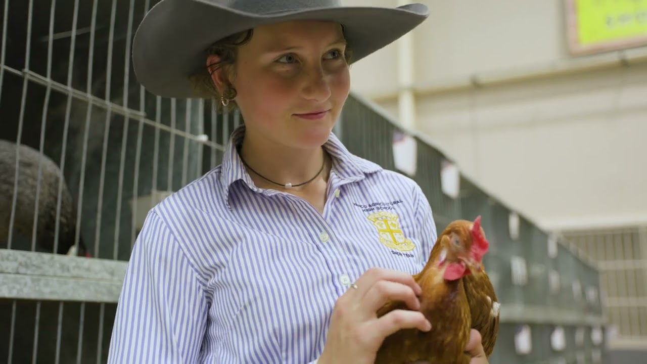 The Sydney Royal Poultry & Pigeon Show
