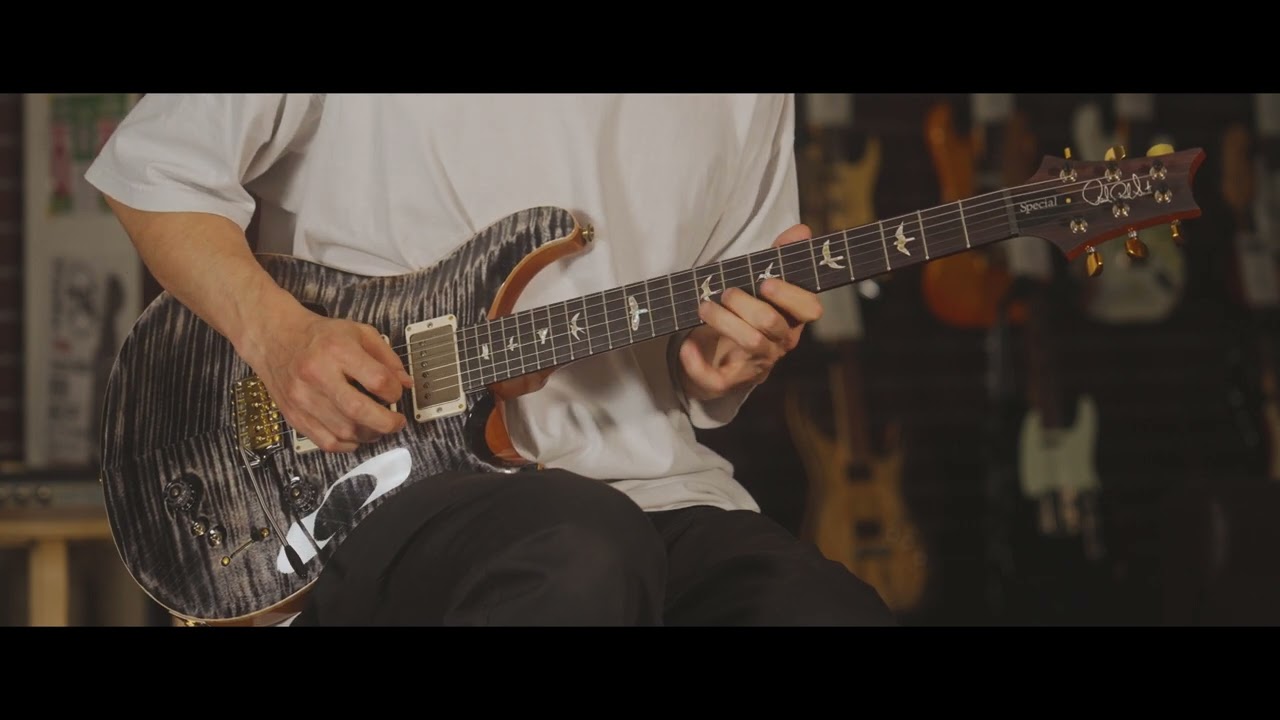 Paul Reed Smith Special Semi-Hollow 10Top Charcoal