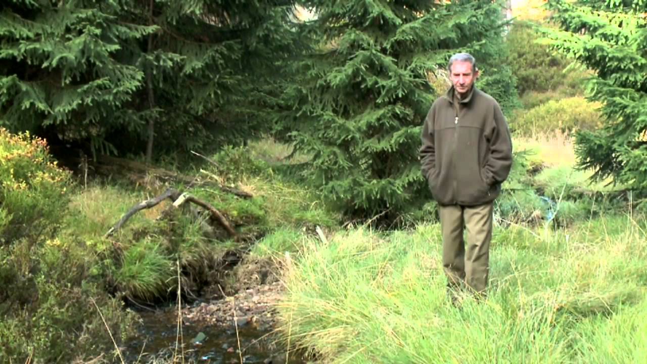 Lasy Dolnego Śląska - Nadleśnictwo Szklarska Poręba