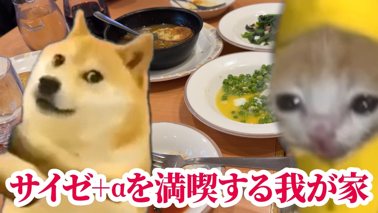 いつも混んでいるからこそスムーズに入店できると幸せになれるサイゼに行った我が家の何気ない日常 #猫マニ #猫ミーム