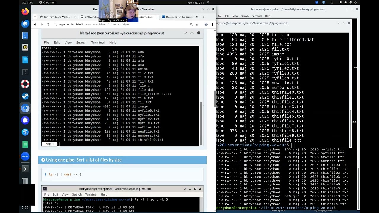 Lecture 1: Linux pipe