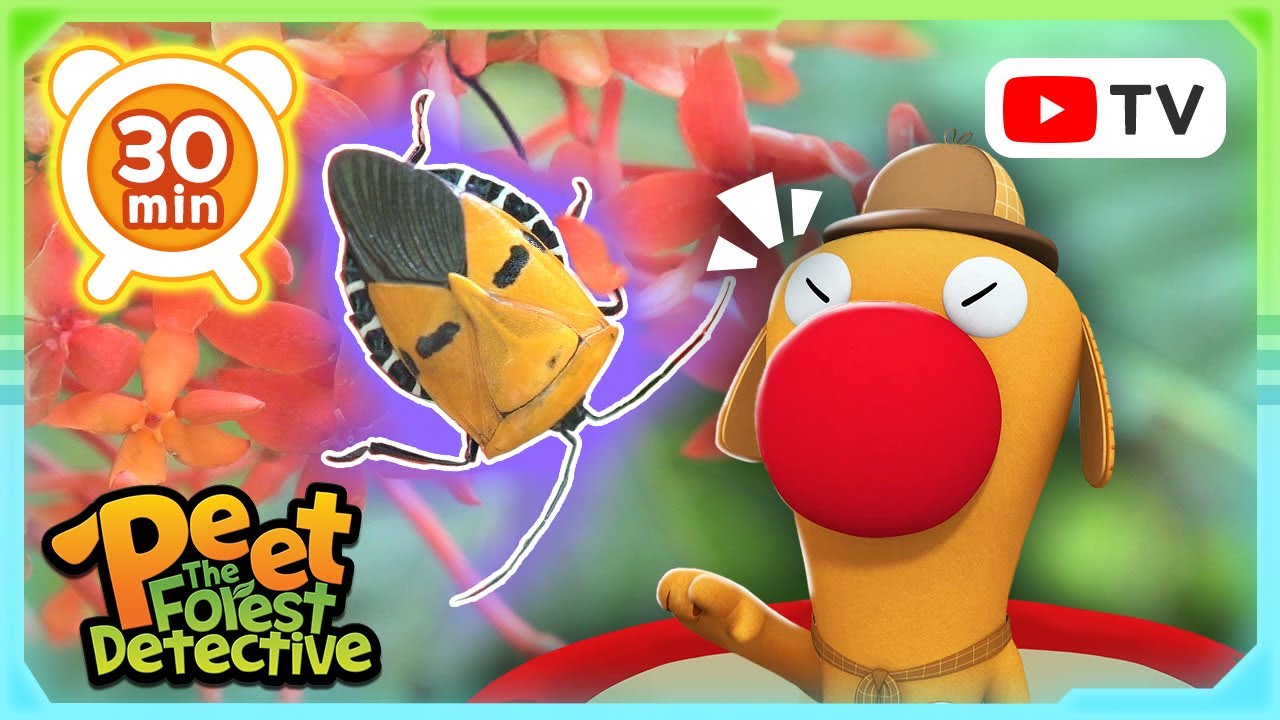 Stick Safari Tales 🌟🌿 | Animal Stories For Kids | Peet The Forest Detective