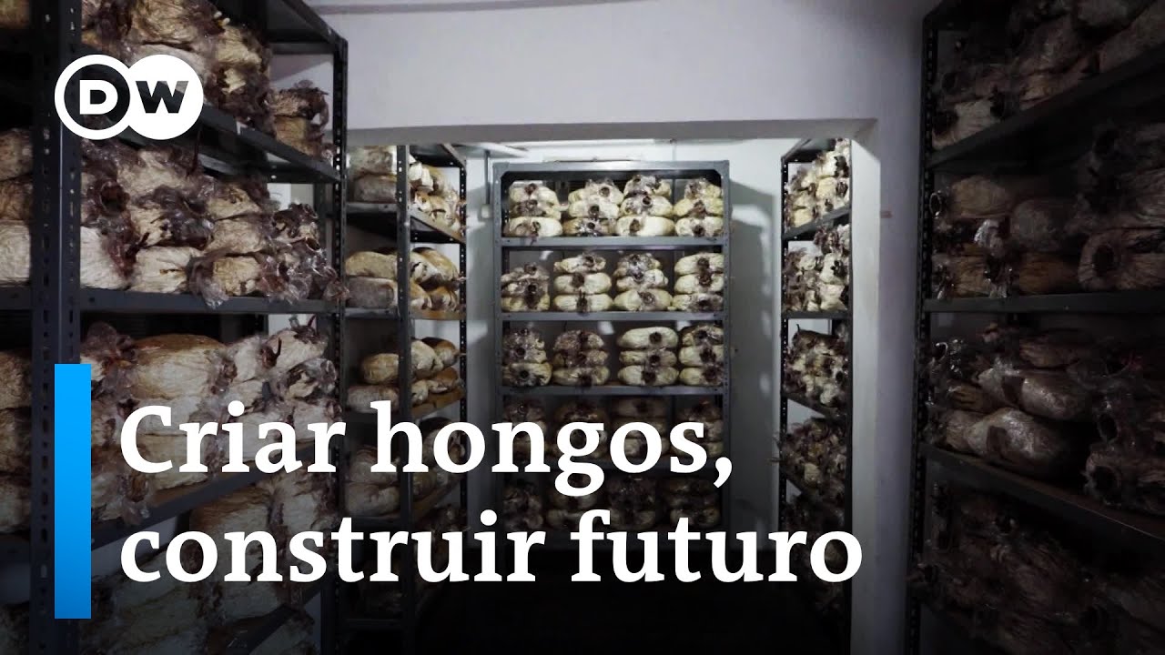 Organismos que lo pueden (casi) todo