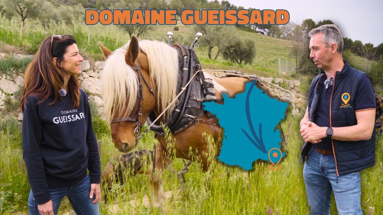 Tracteur et chevaux , un duo-choc pour travailler les vignes : La Plus Belle Ferme de France 2025/03