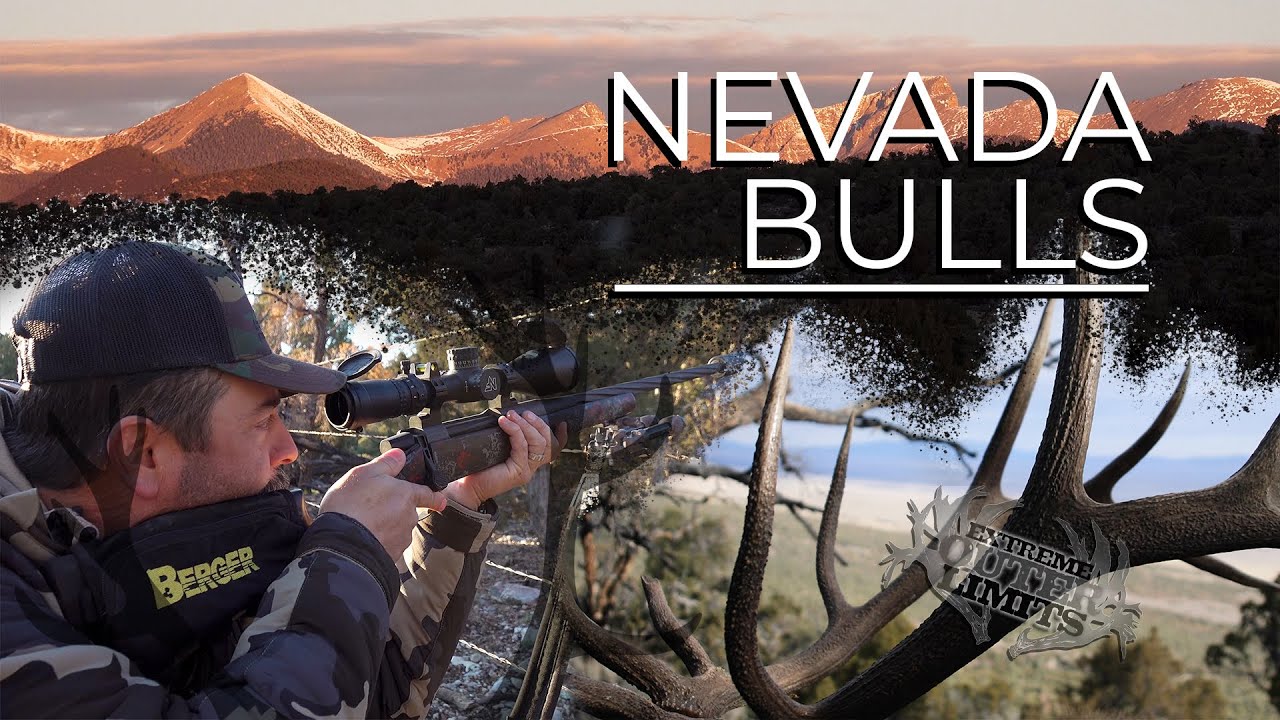 Nevada Bulls — охота на лосей в Западной Неваде