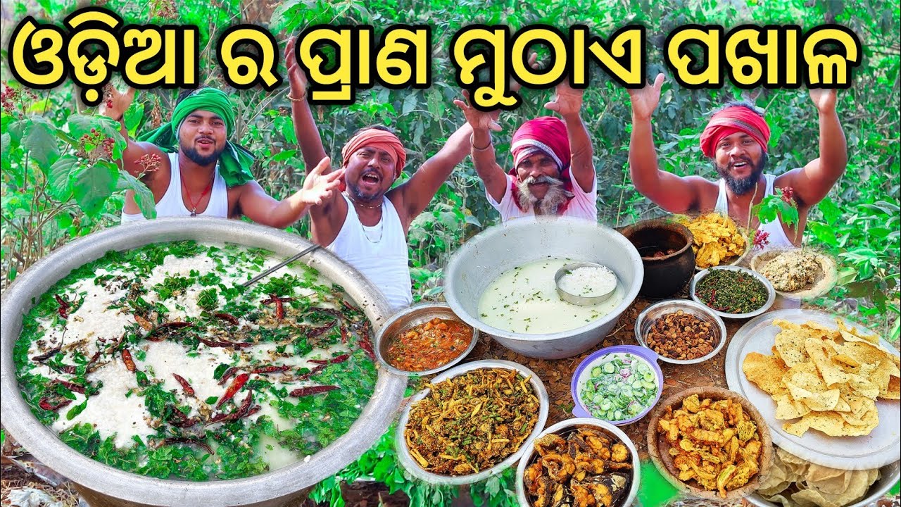 ଦହି ଛୁଙ୍କ ପଖାଳ । ବିଶ୍ୱ ପ୍ରସିଦ୍ଧ ପଖାଳ ଦିବସ ଉପଲକ୍ଷେ। Dahi Pakhala Recipe Cooking For Children