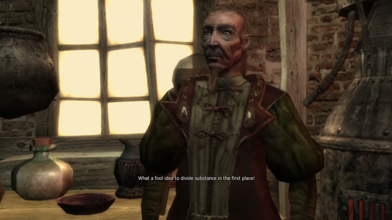 The most intellectual conversation in The Witcher 1