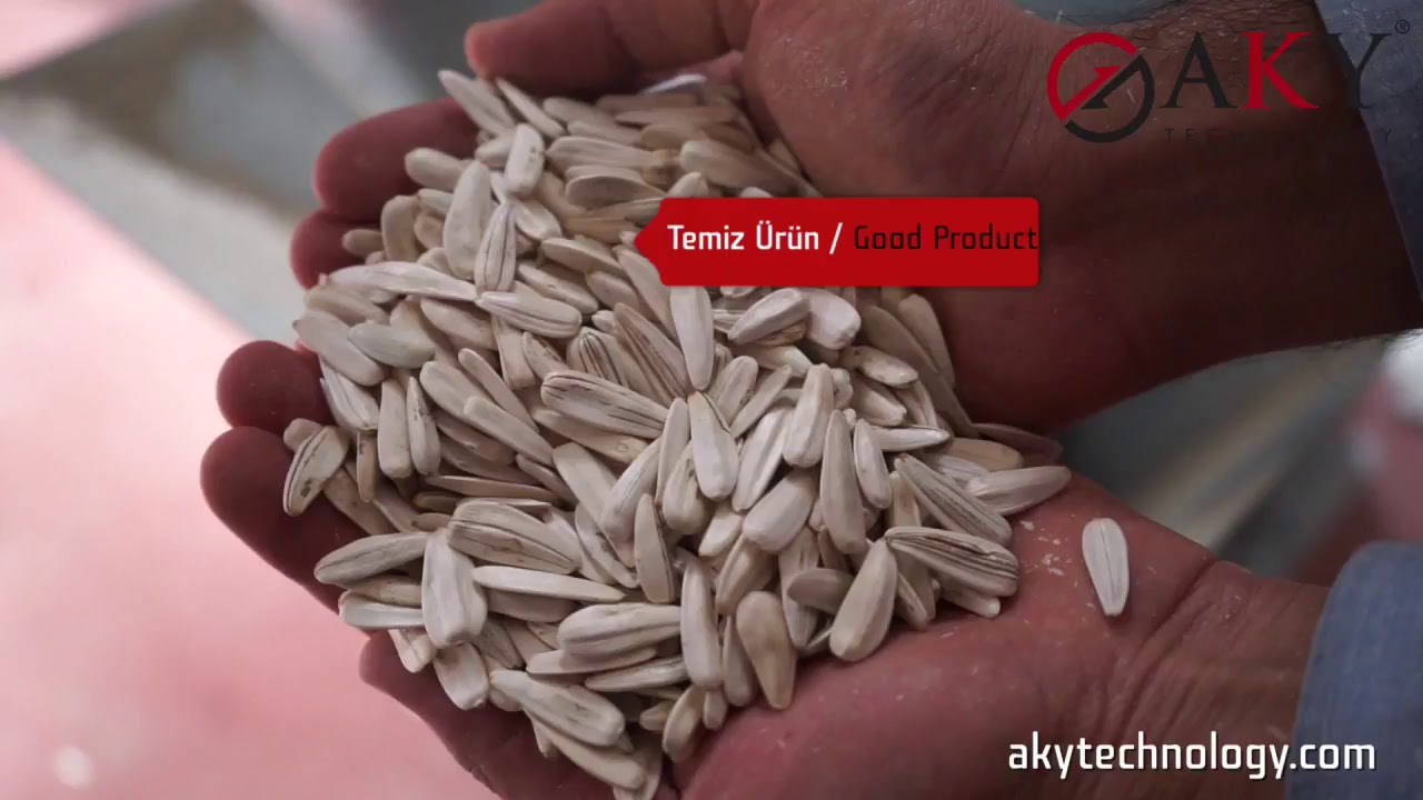 Sunflower Seed Cleaning Plant - AKY Technology