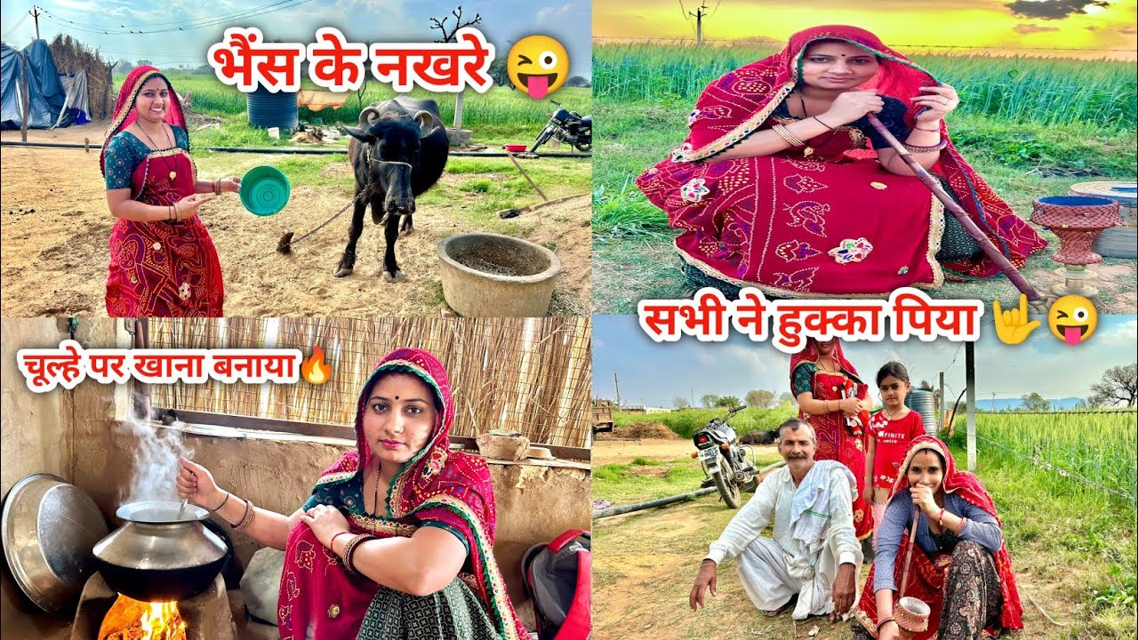 भैंस के नखरे दूध ही नहीं दिया 😜 || Mousam Meena Vlogs || #vlog