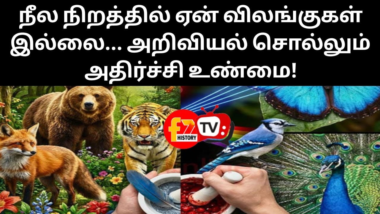 நீல நிறத்தில் ஏன் விலங்குகள் இல்லை... அறிவியல் சொல்லும் அதிர்ச்சி உண்மை!