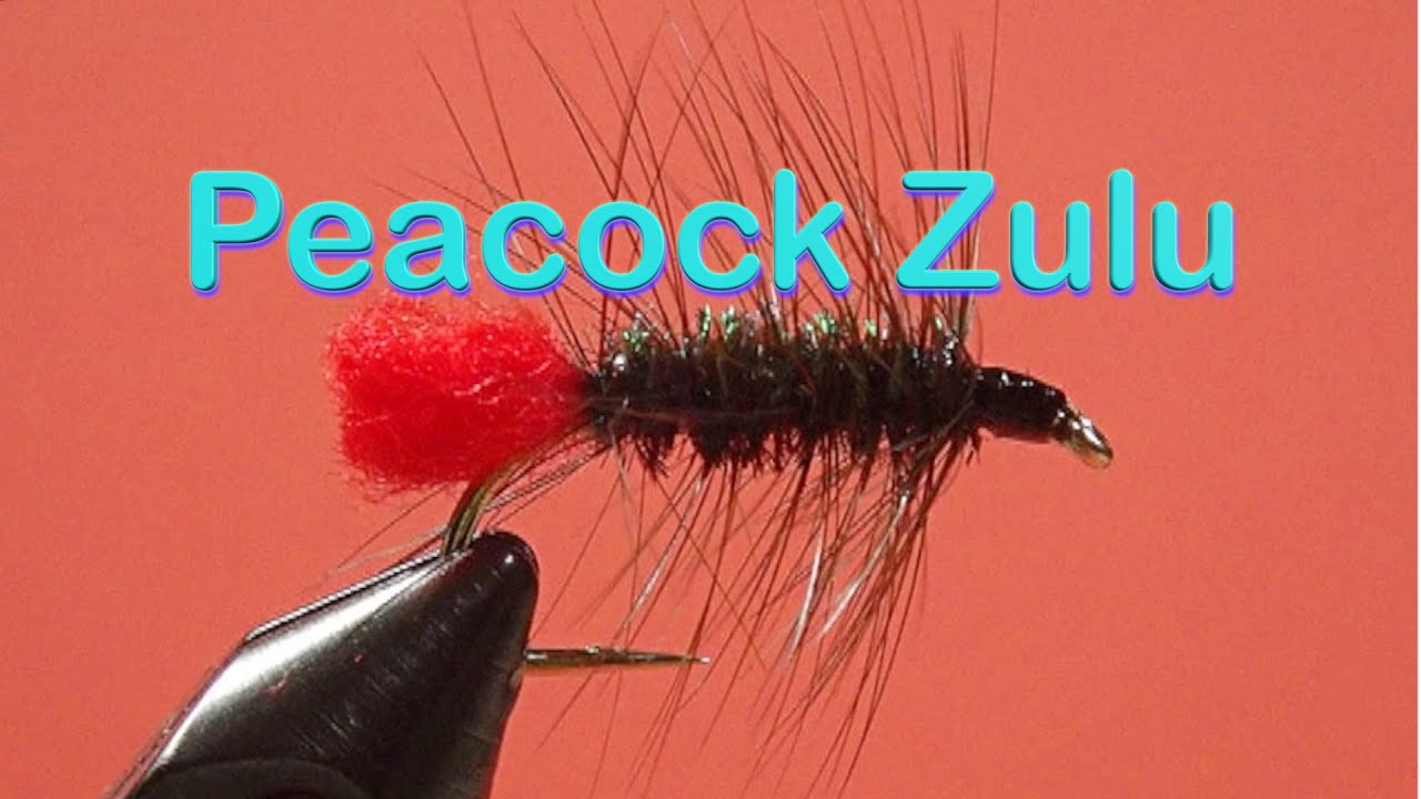Traditional Wet Fly Trout Patterns: the Peacock Zulu