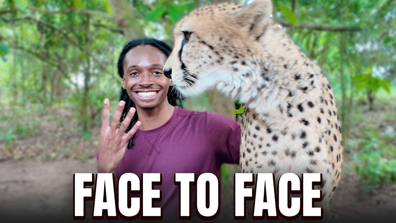 I Got in a Cage with a Cheetah in Zanzibar, Tanzania 