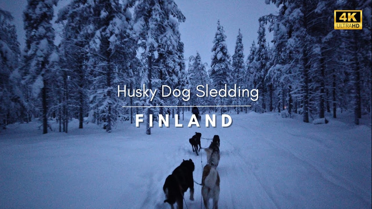 Journey through the Arctic wonderland: Husky Dog Sledding in Finland - 4K FPV