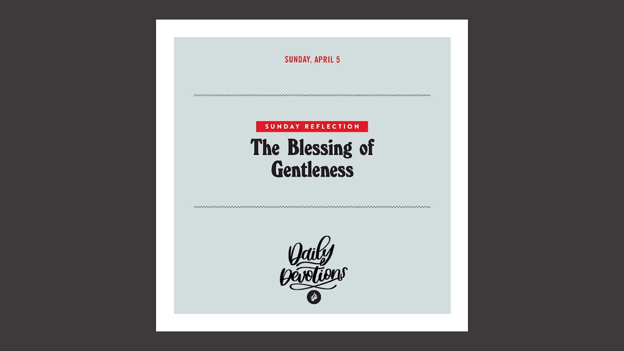Sunday Reflection: The Blessing of Gentleness - Daily Devotional