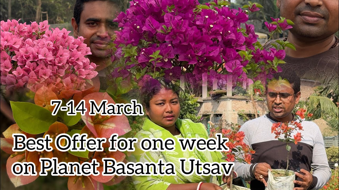 Best Deal From Pranavi Garden for Basanta Utsav