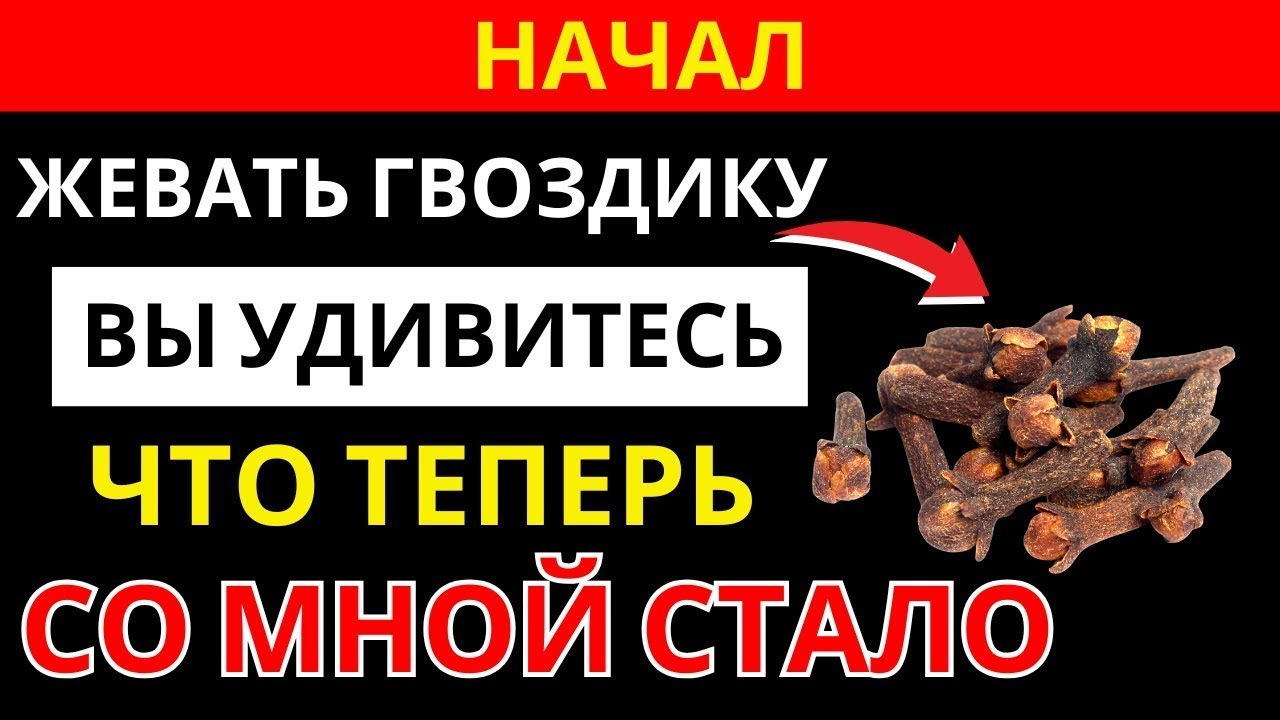 Жевать гвоздику- польза, возможный вред и что важно знать -здоровье пожилых