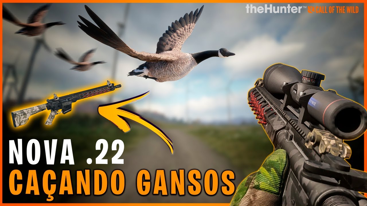MUDANÇAS NOS GANSOS, CACEI ELES COM A NOVA .22 EM UM SPOT COM MUITOS BANDOS - THE HUNTER COTW