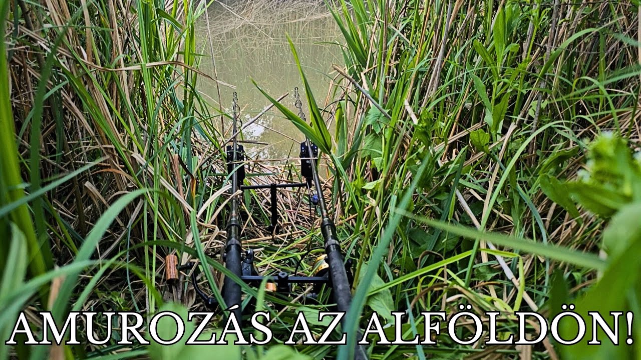 Amur horgászat az Alföldön!