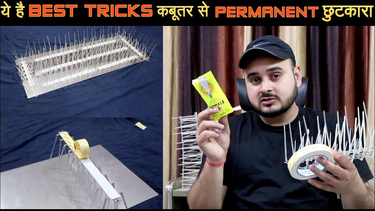Birds Spikes 🕊️ Pigeon Spikes Installation | Spikes for Pigeons Repellent | Double Tape | RPO Tech