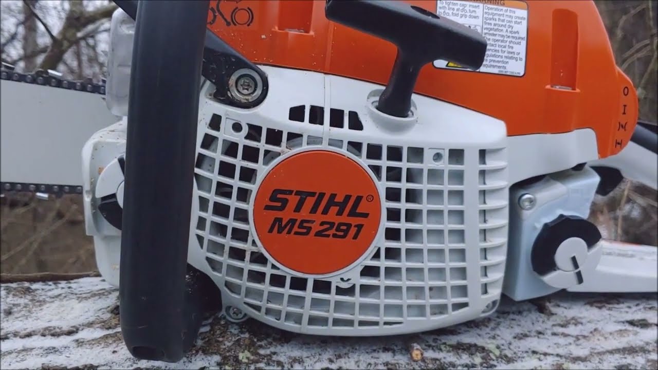 Me and a GIANT tree(STIHL MS291)