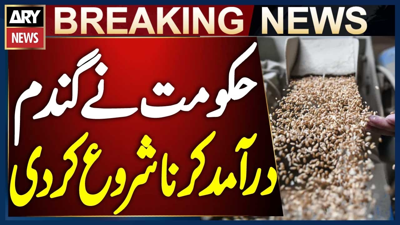 Pakistan Government Starts Wheat Imports to Control the Crisis