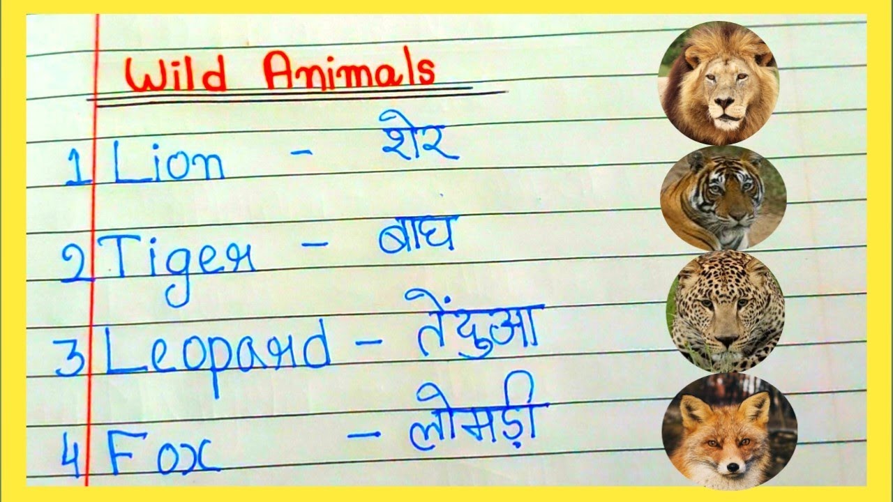 10 wild animals name in english and hindi|| animal name in english|| wild animals name|| 